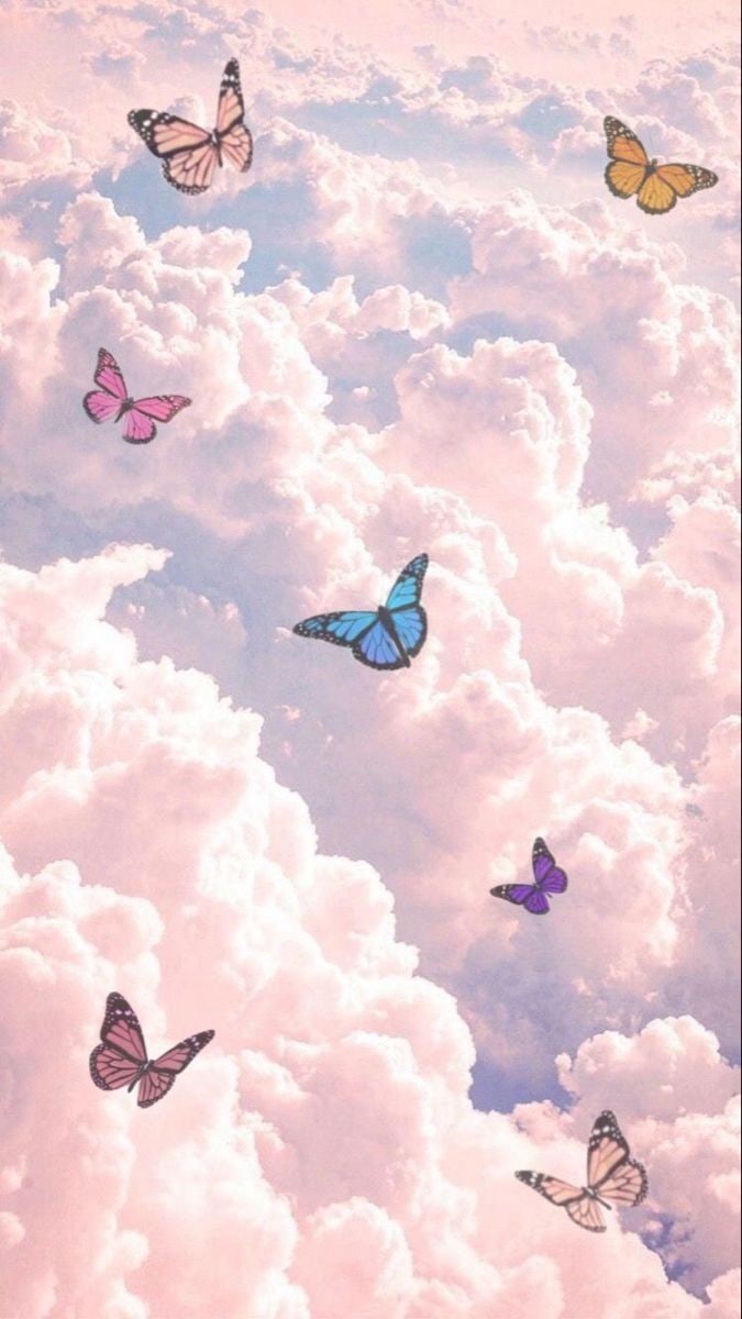 butterfly