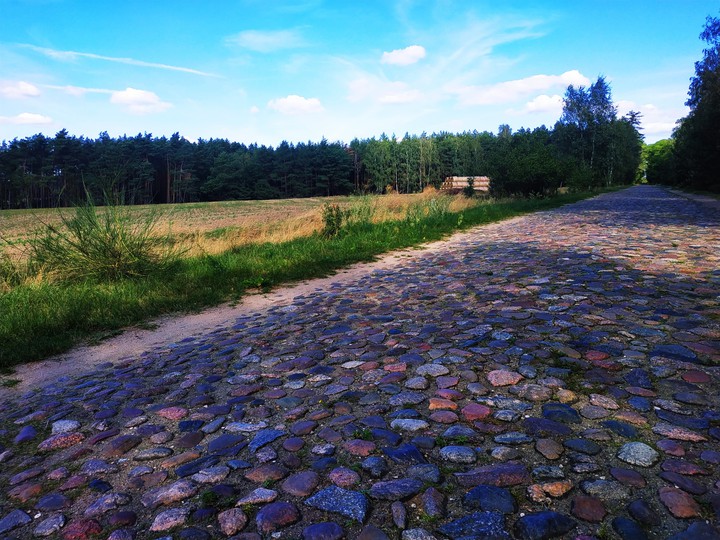 roadwood