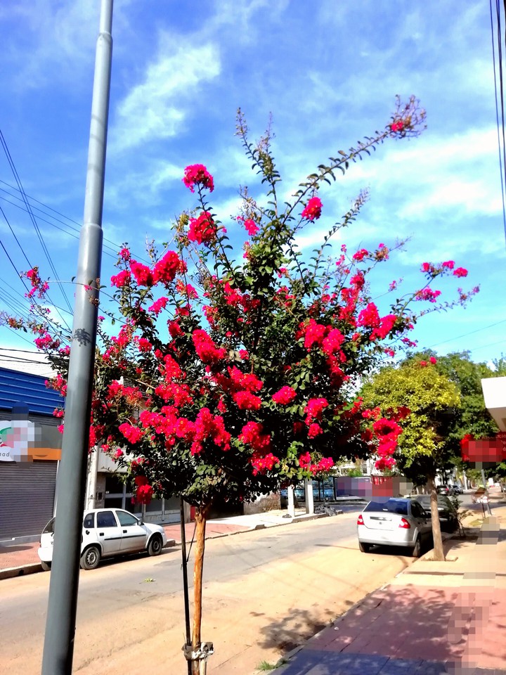 Córdoba Argentina