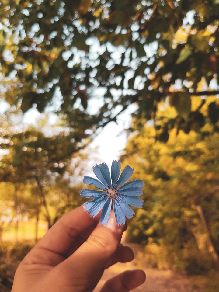 Autumn