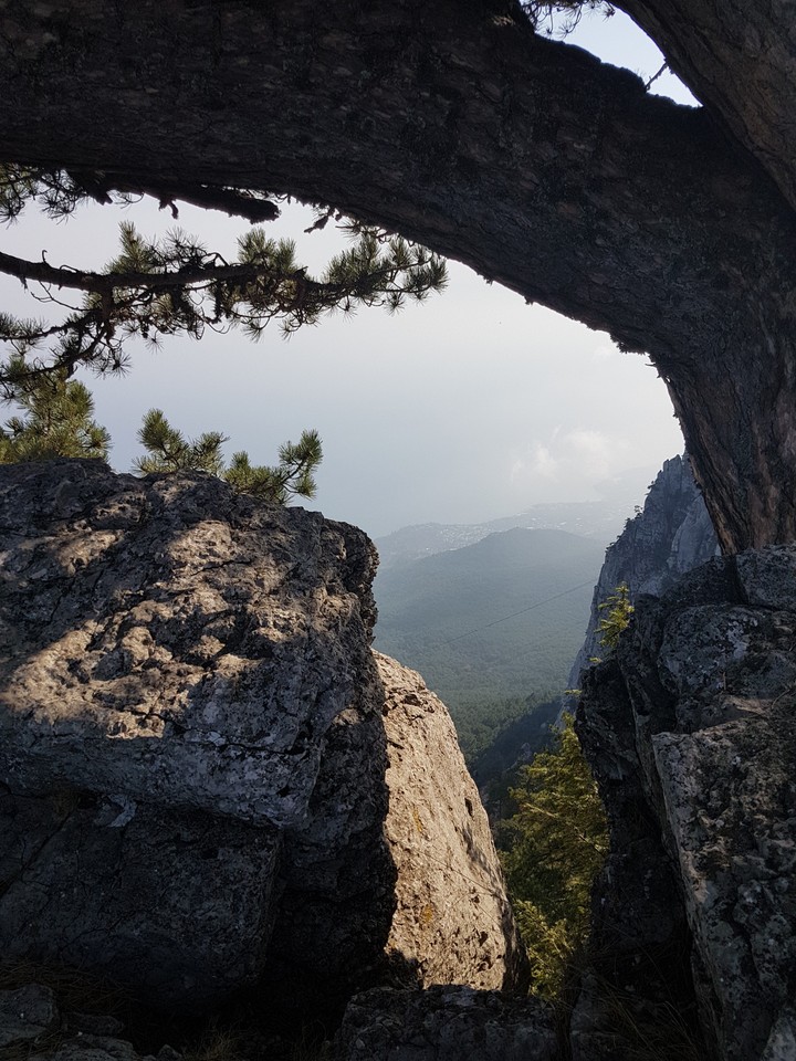 Crimea