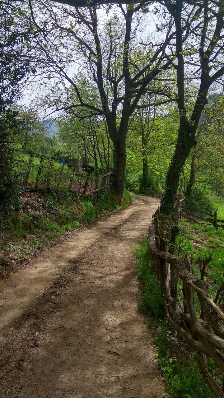 walking
