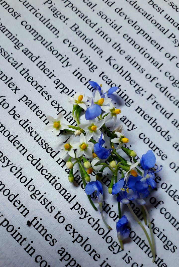 photography