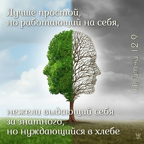 wisdom