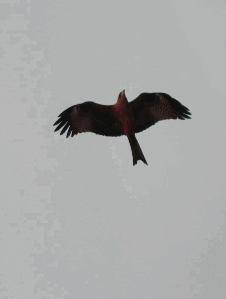 Be free...