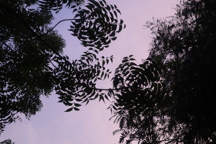 Nature's fingerprints