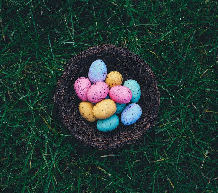 eggs colour