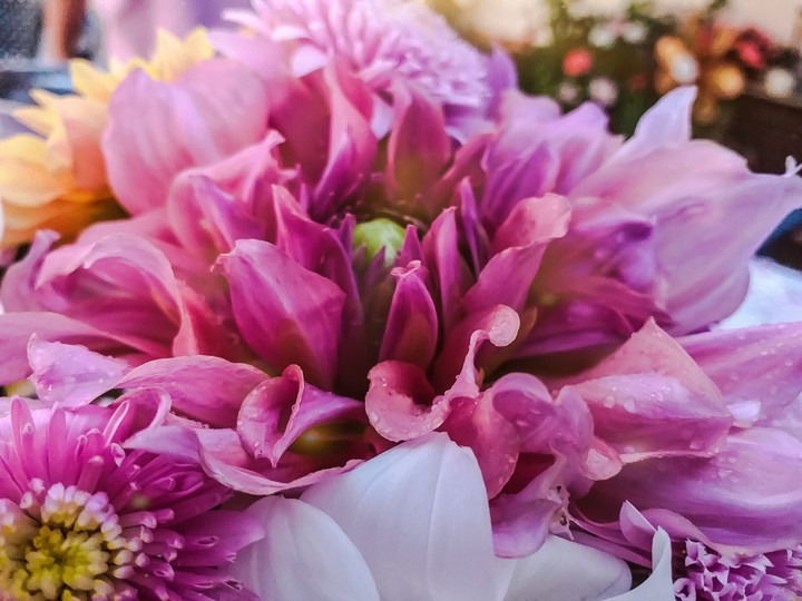 flowers