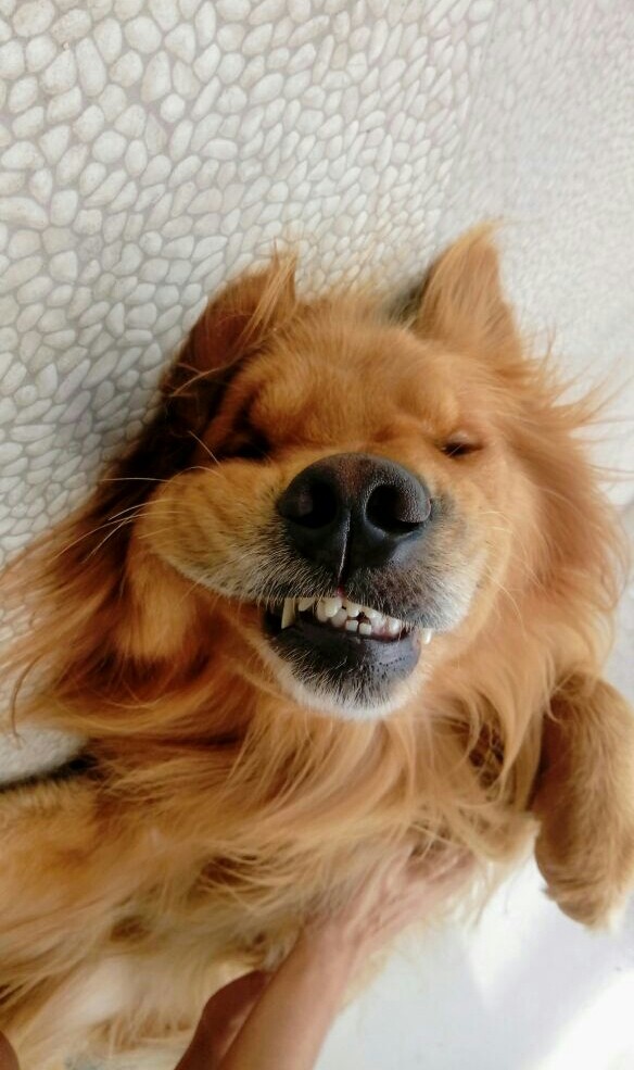 Uma selfie minha para vcs 