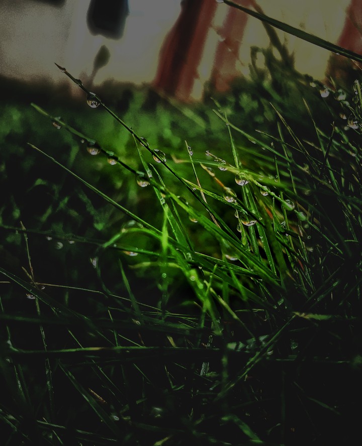 trip_00__graphy