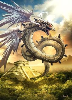 dragon