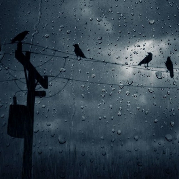 depressing rain