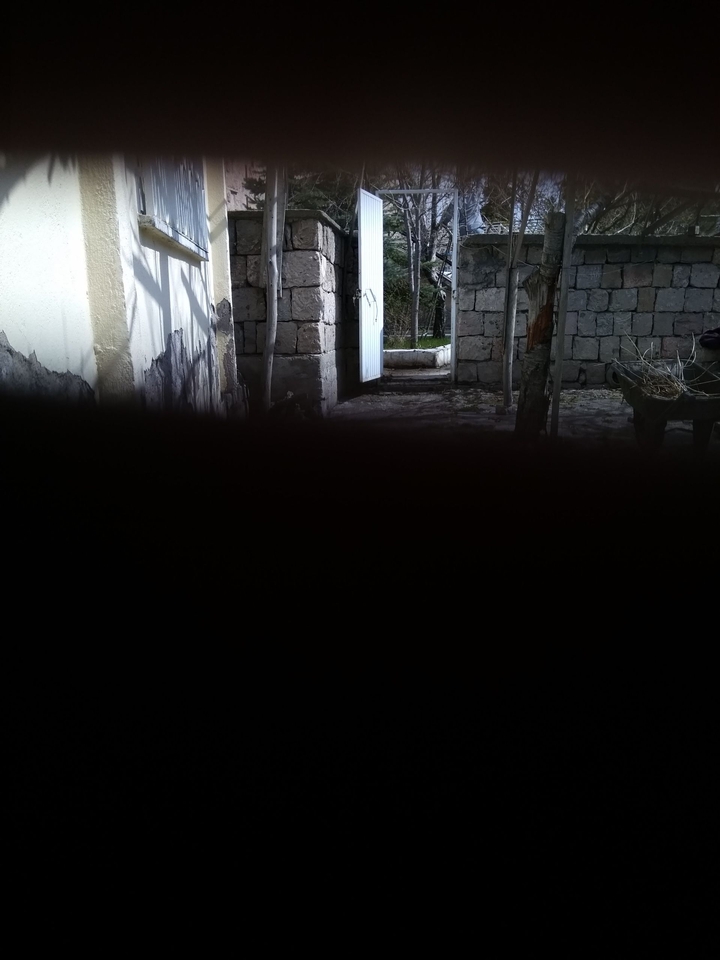White Door