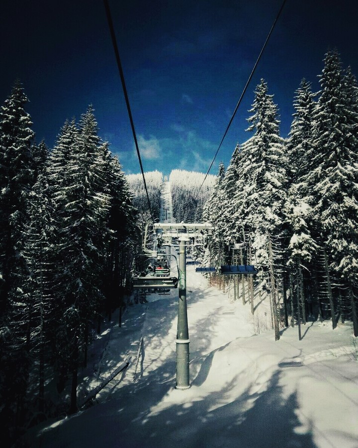 #snow #winter #bukovel