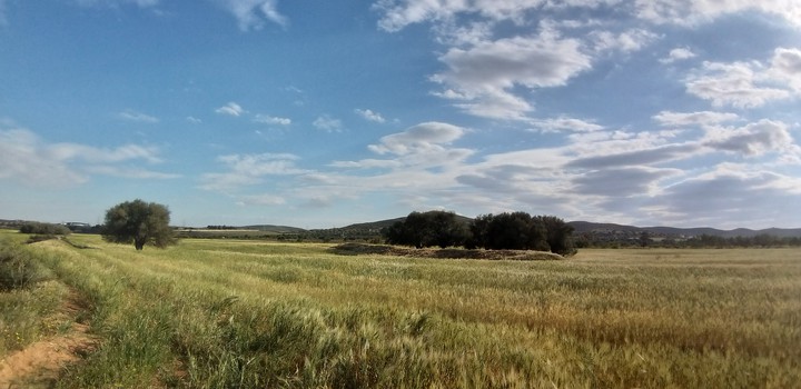 Prairie