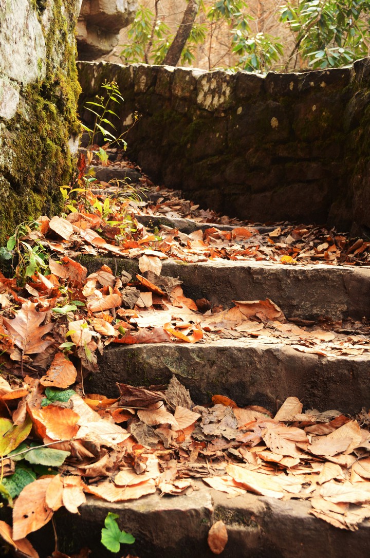 fall steps