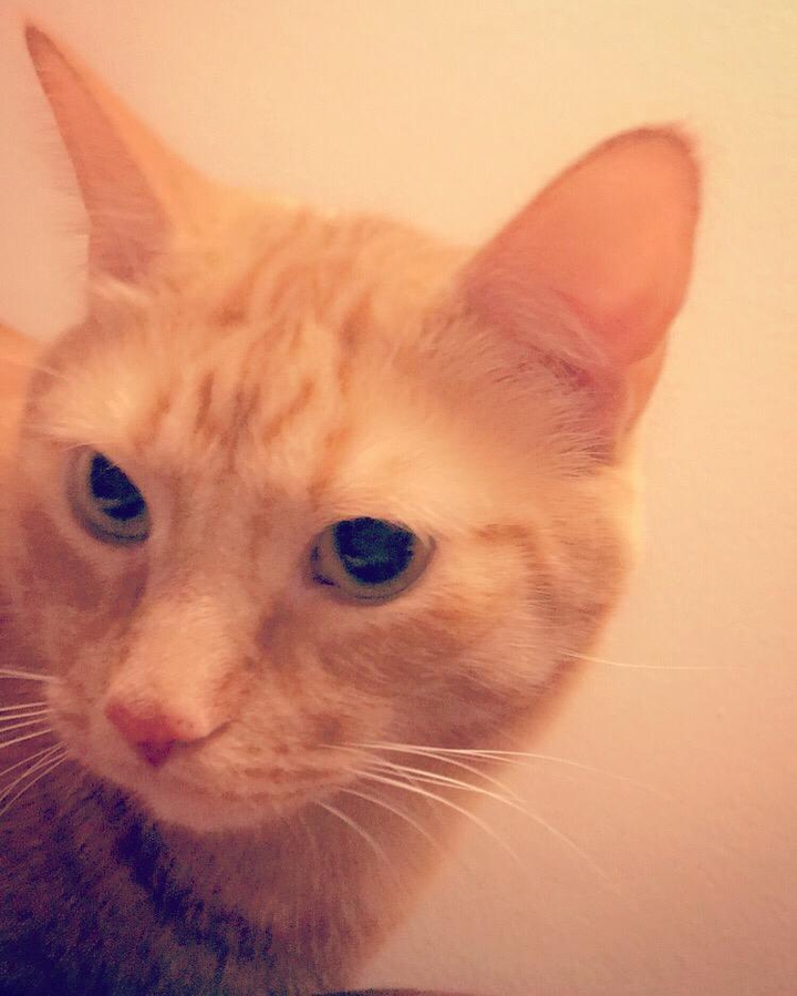 Marlowe in the Morning