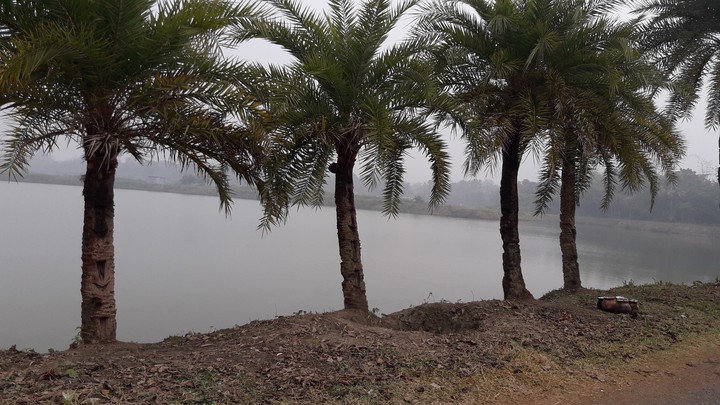 শীতের সকাল It's winter morning