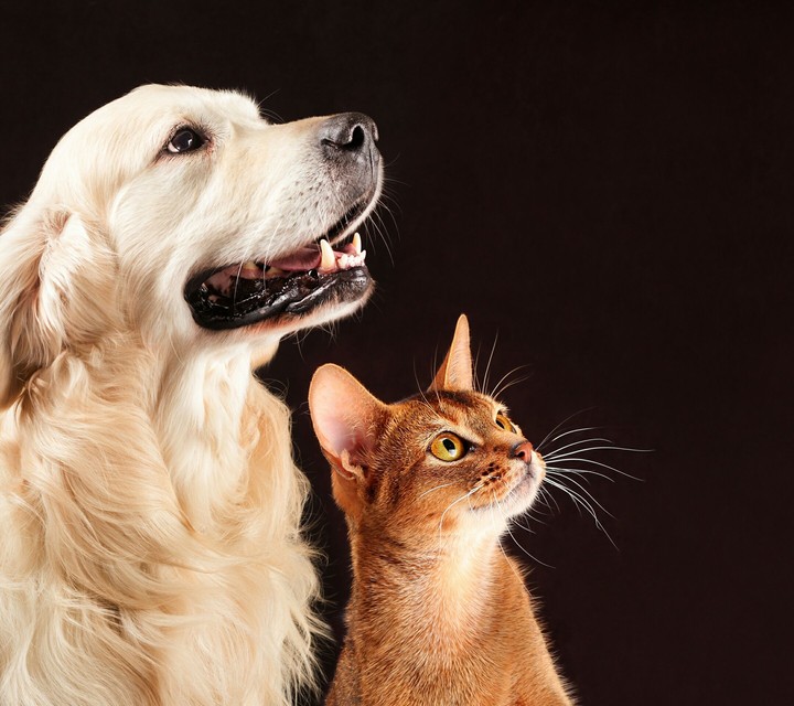 friends