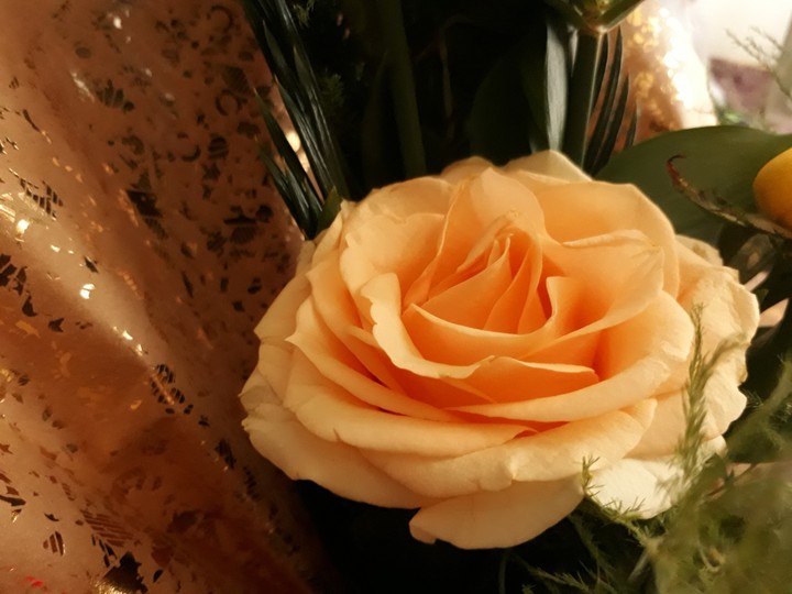 گل برای گل❤❤❤❤❤❤❤❤❤❤❤❤❤❤❤
