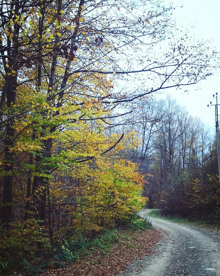 осінь