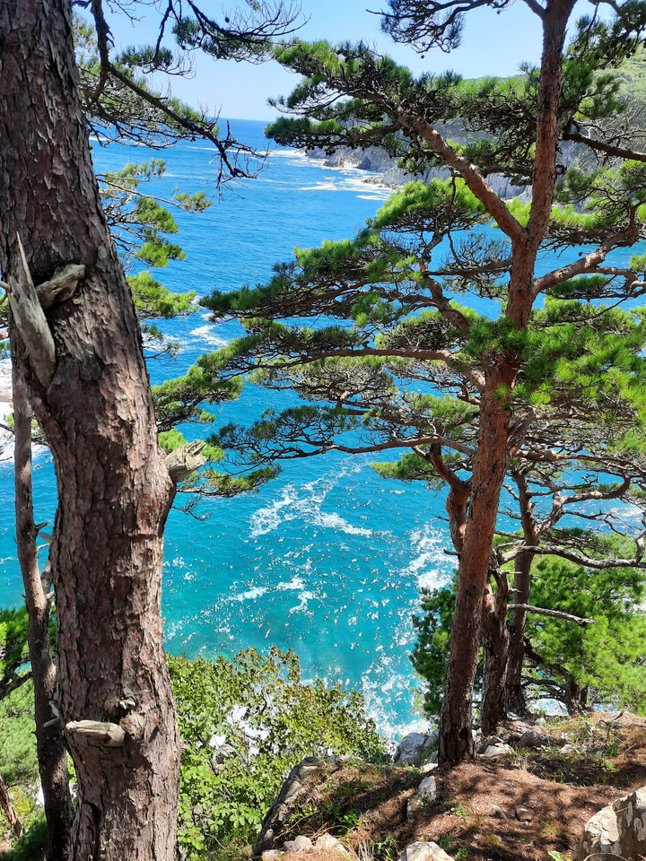 море