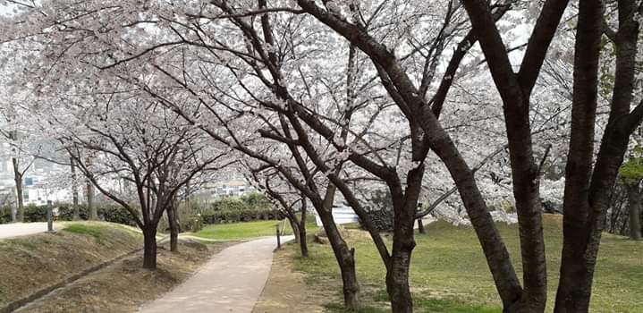 Scenery