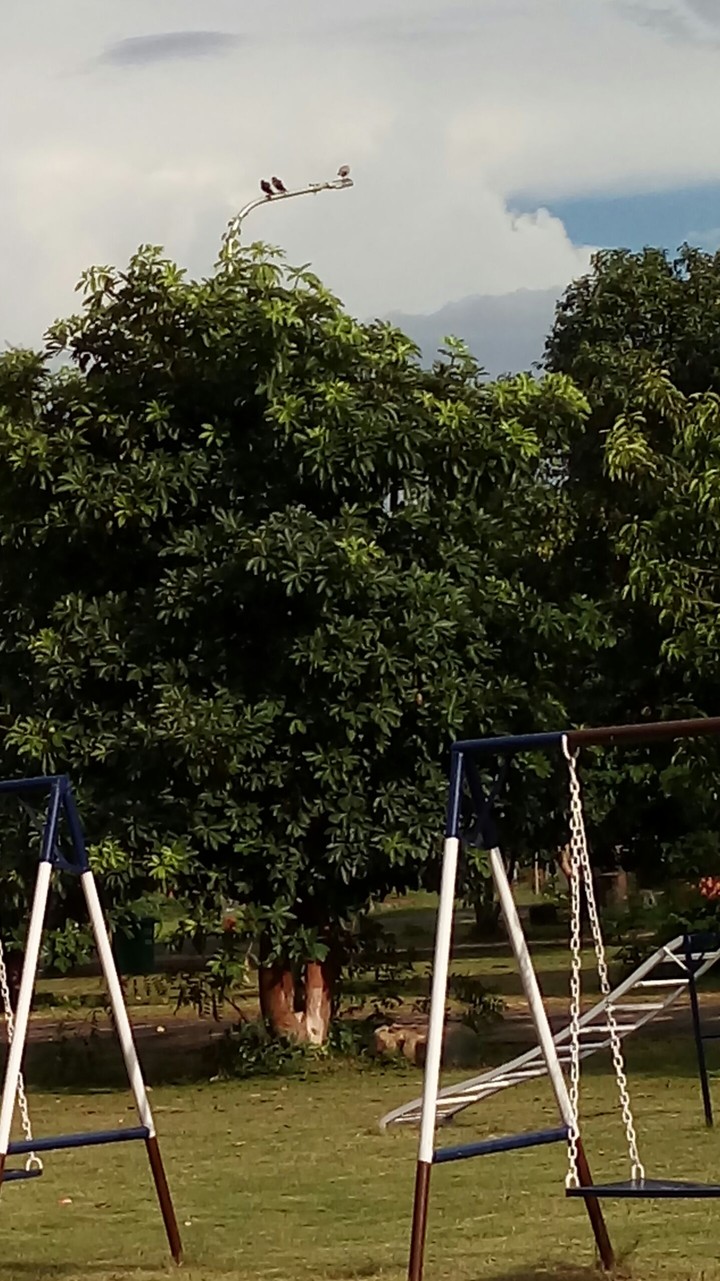 nature and urbanism