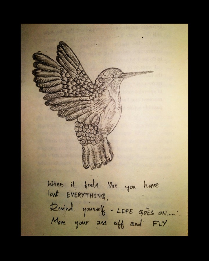 bird