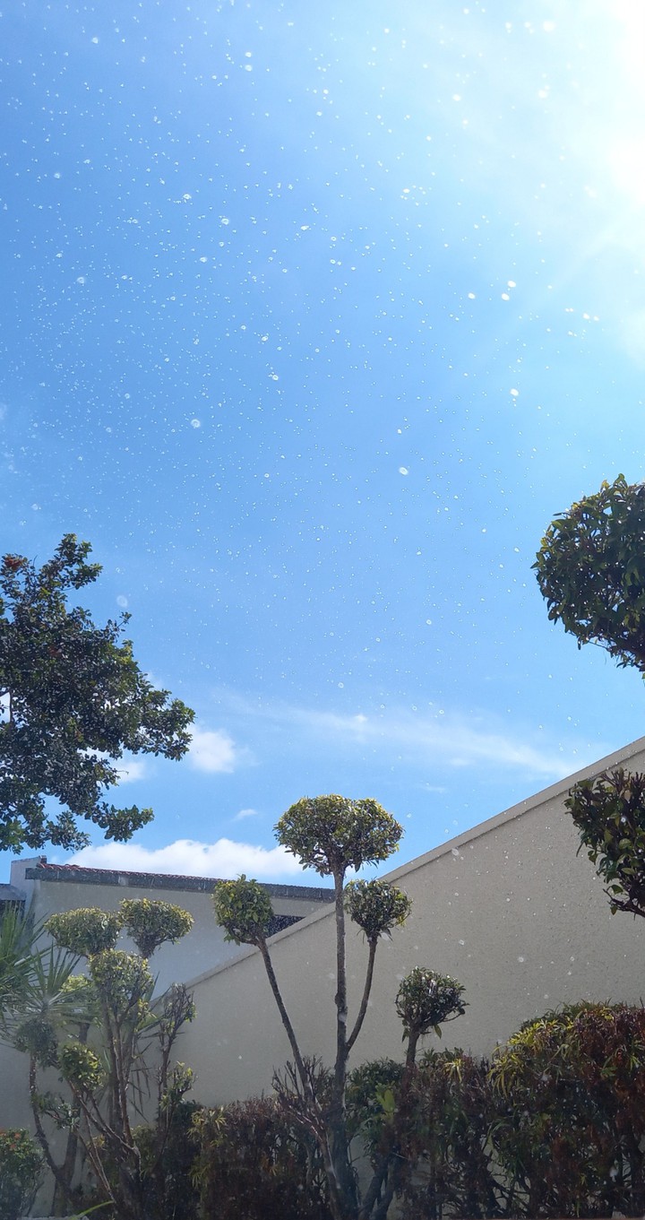 sunny day