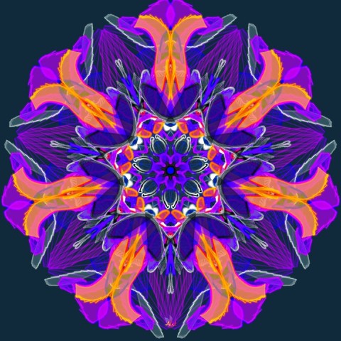 Abstract Blossom
