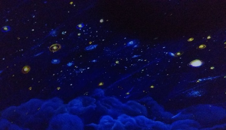 cosmos