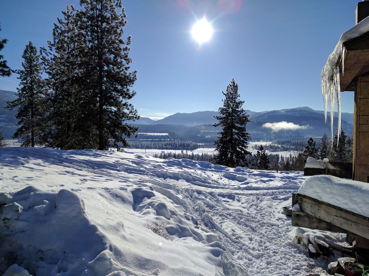Crispy Clear Sunshine