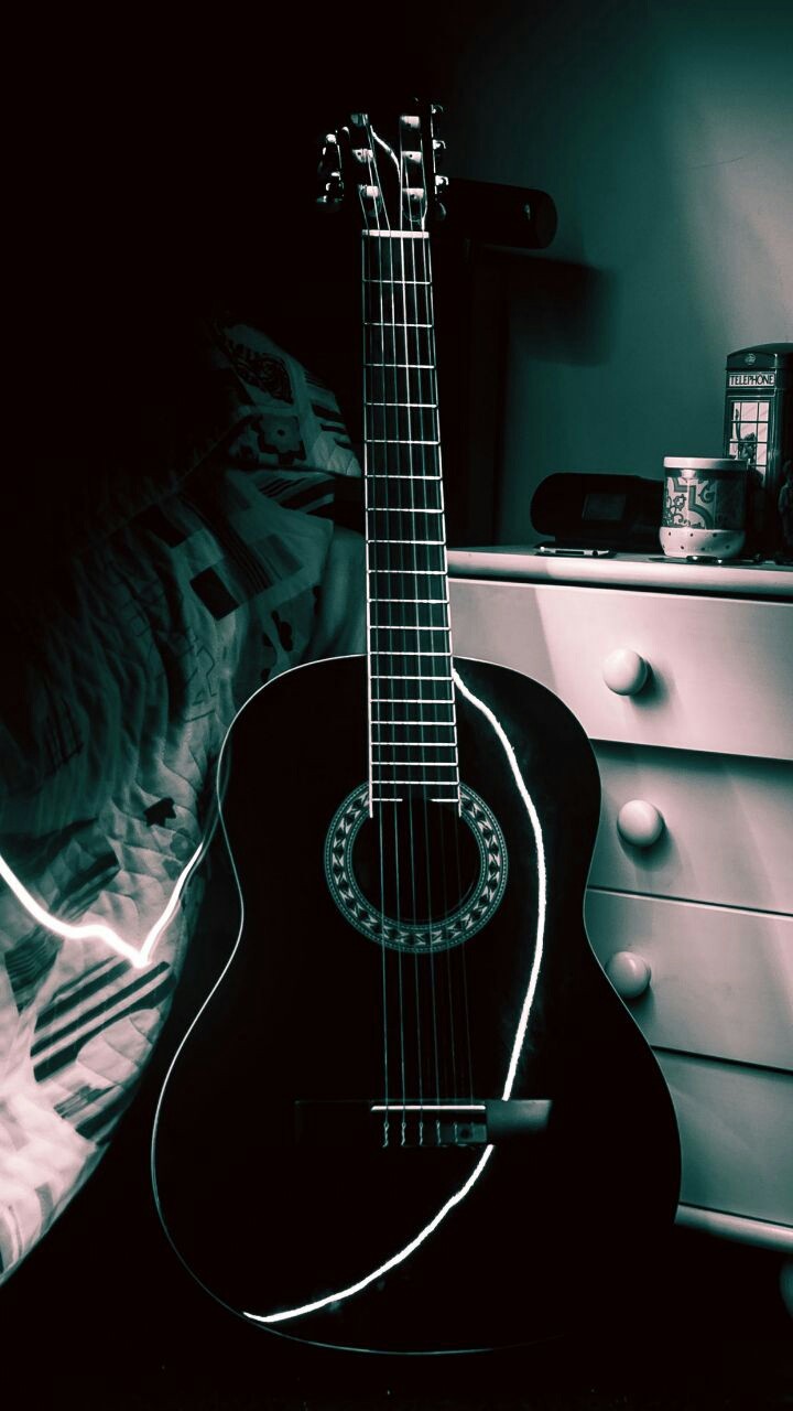Guitar