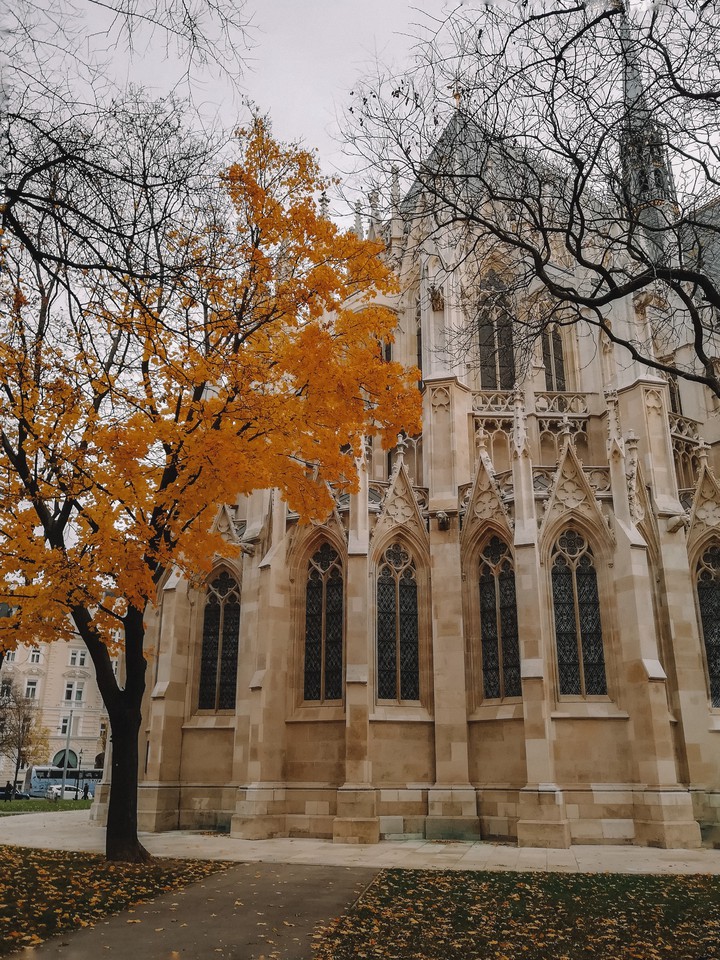 autumn