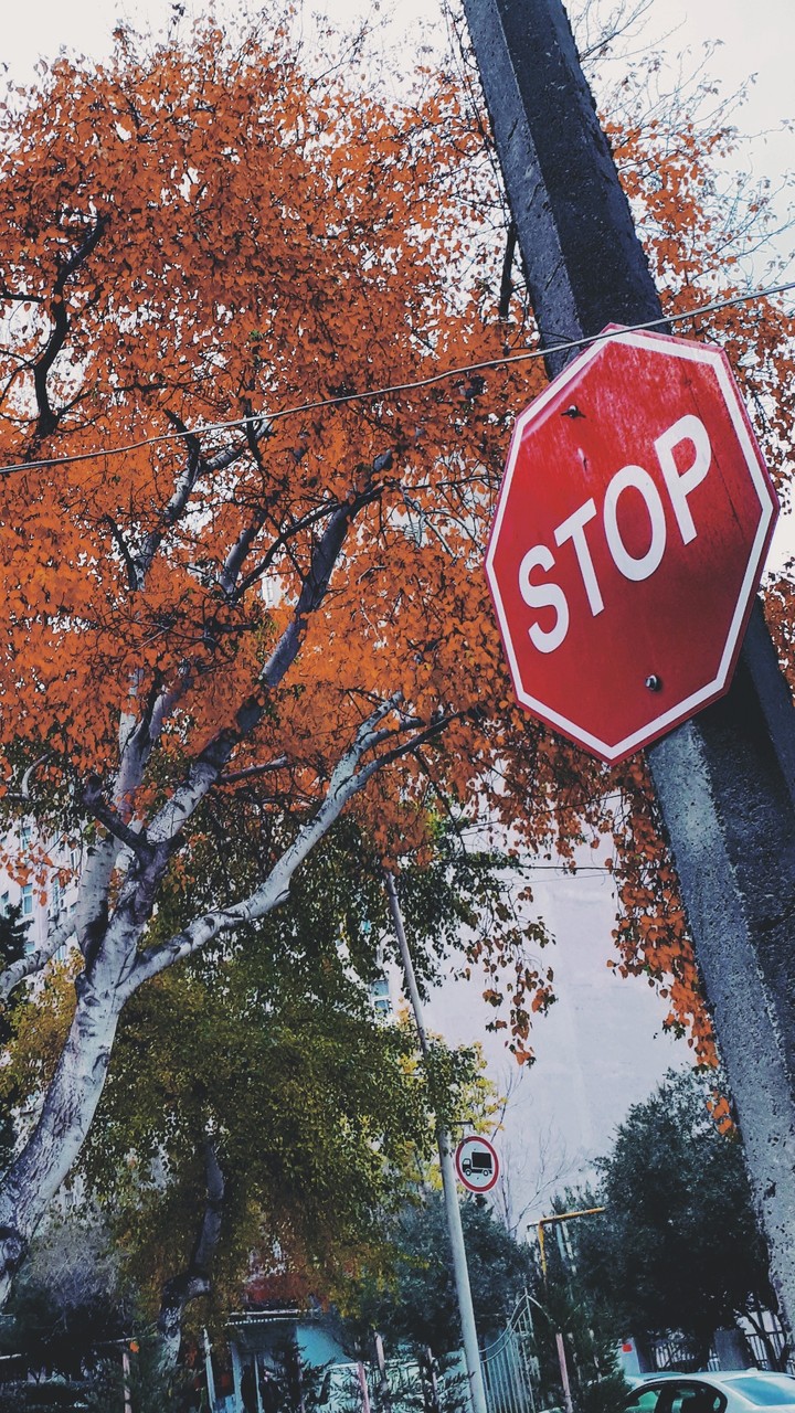 AUTUMN