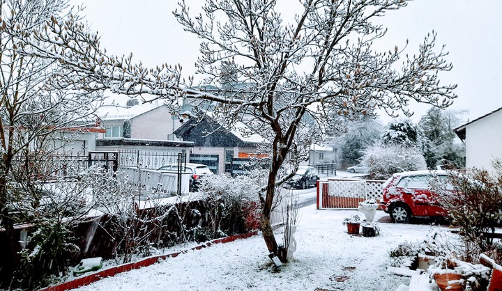 Snowfall