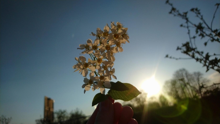 Evening