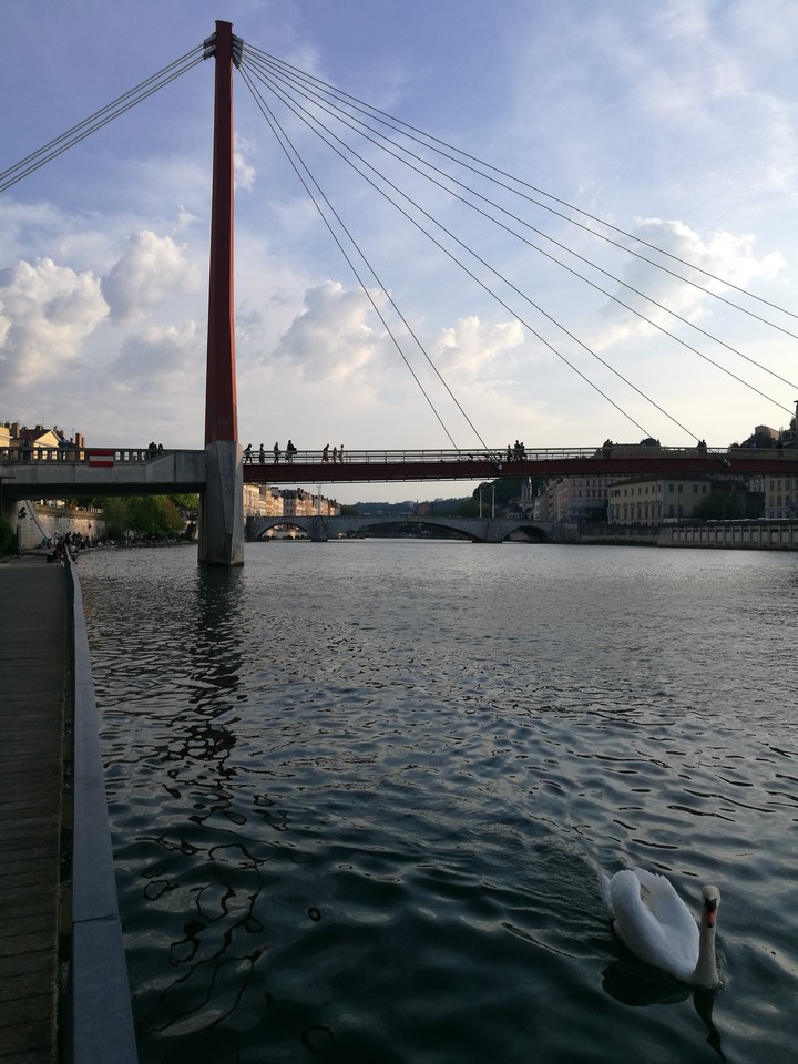 LYON 1ER