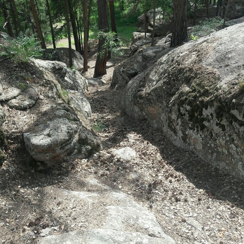 nature