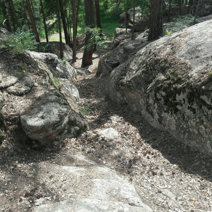 nature