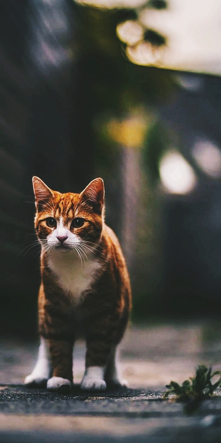 cute things in our world....