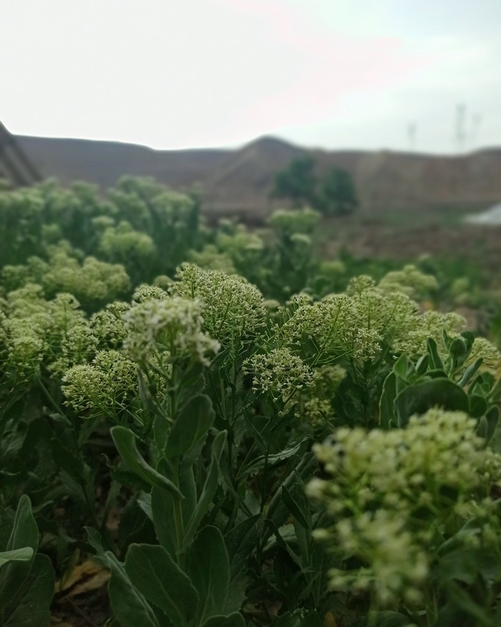 #nature