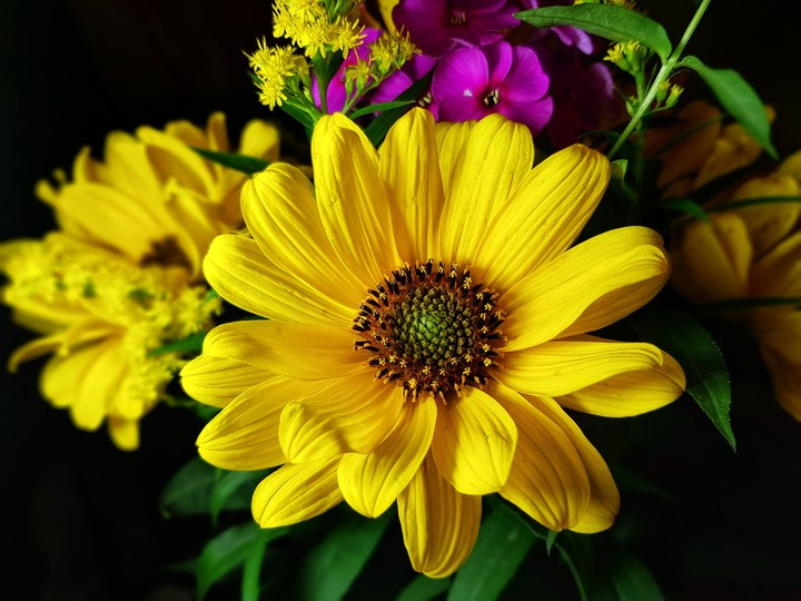 flowers