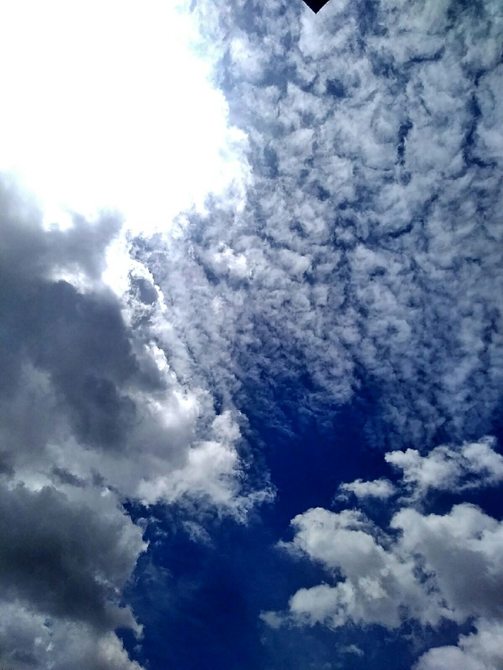blue n white