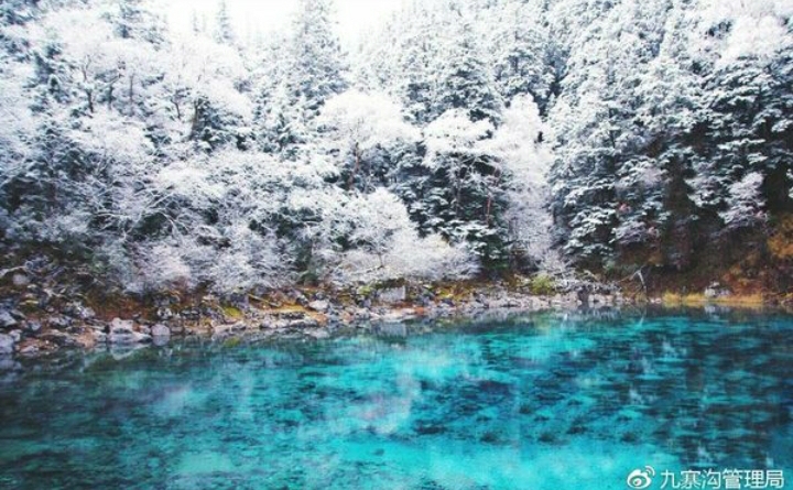 mint colour lake