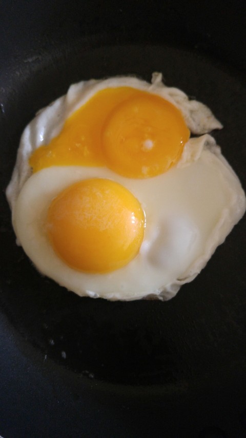 Yin Yang