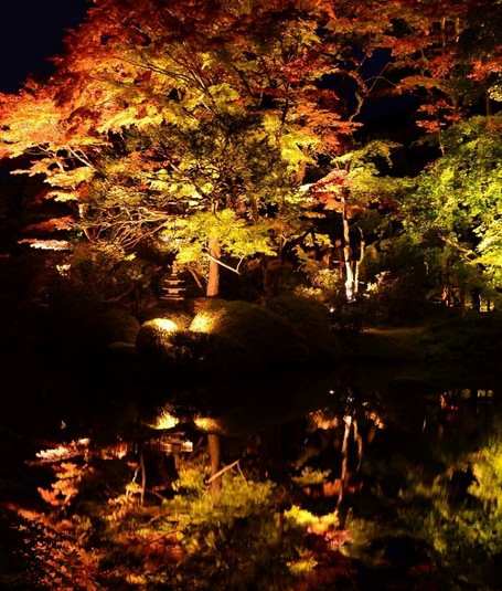 autumn foliage － Japanese garden
