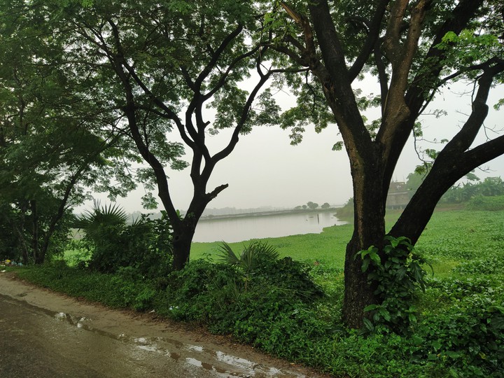 Nature of winter morning At South Asia