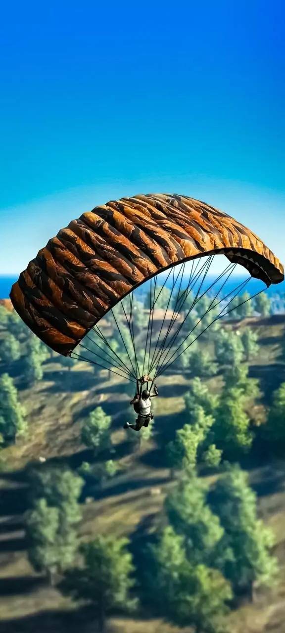 fly❤️pubg